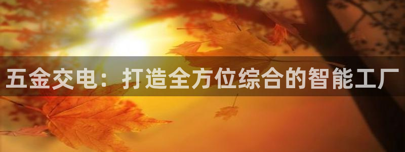 云顶国际服官网