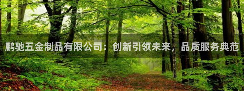 云顶集团有限公司简介概况