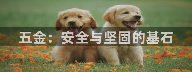云顶国际老板是谁啊