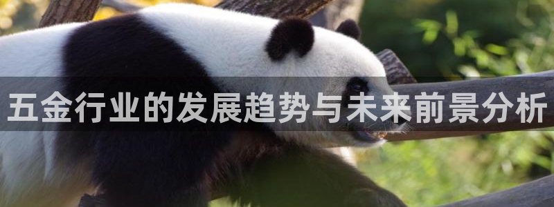 云顶国际官网官方