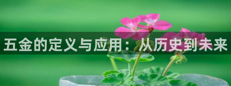 云顶国际服版本