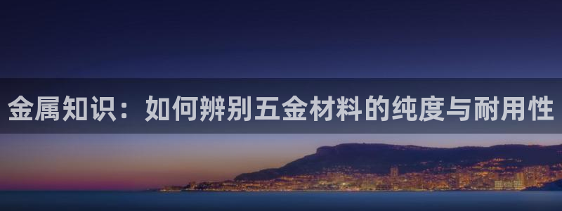 云顶国际房地产有限公司
