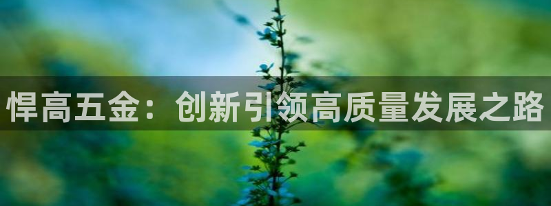 yd2333云顶贵宾会