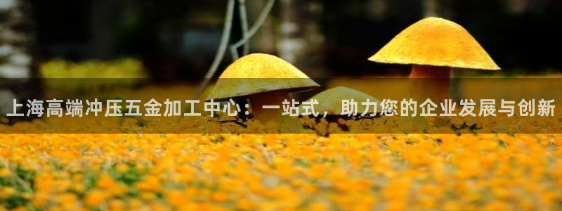 云顶国际公馆在哪个街道