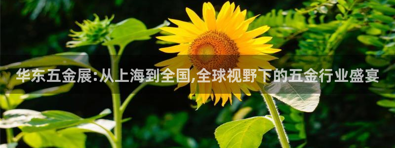 云顶国际网站怎么进不去了