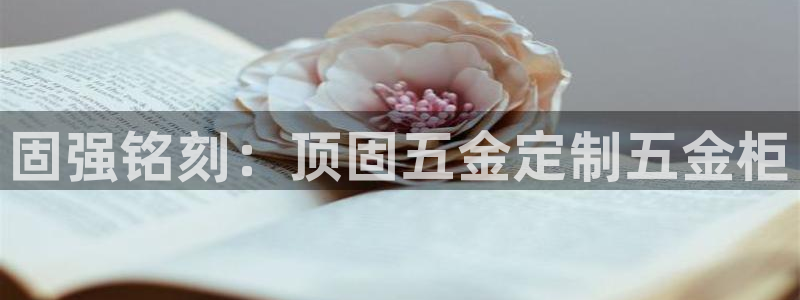 云顶国际酒店老板简介