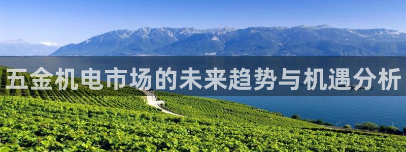 云顶国际怎么进不去了