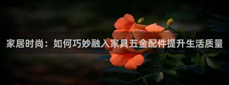 云顶国际服什么时候更新