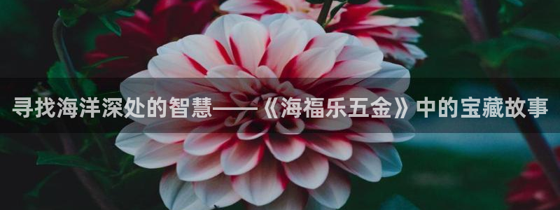 云顶国际游戏网址是什么