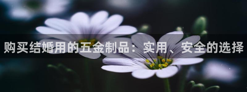 云顶国际电子游戏官网