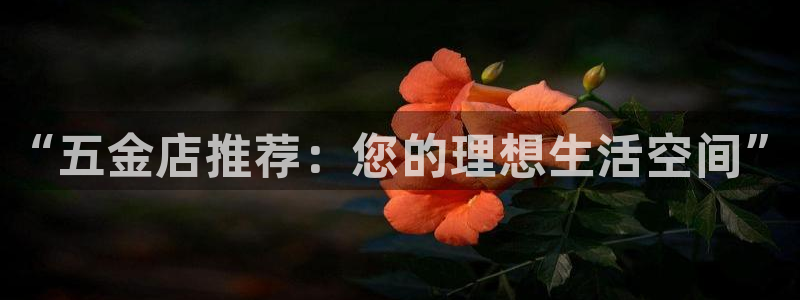 云顶国际部HKDSE