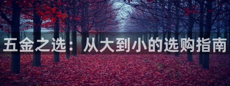 云顶国际平台提款受阻