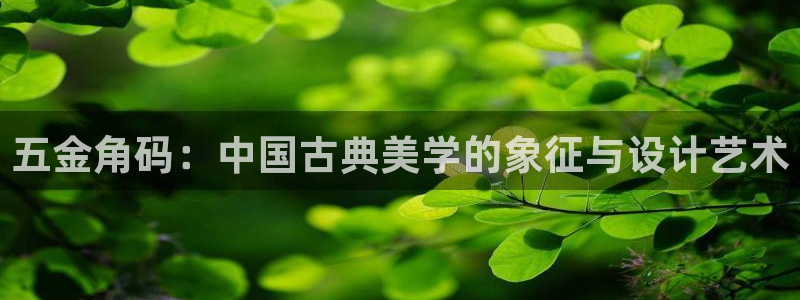 云顶国际会所怎么样