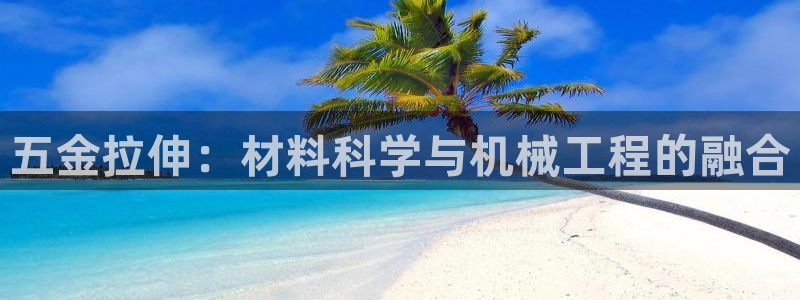 云顶国际服手游