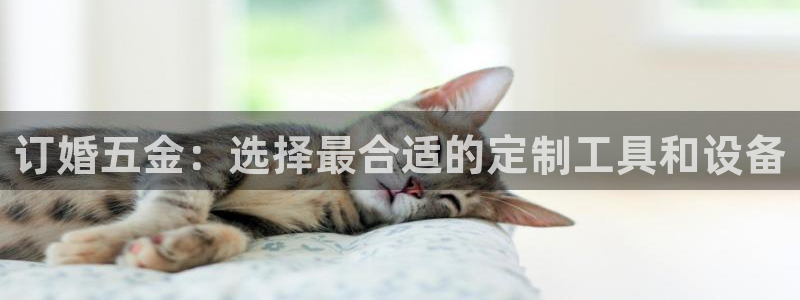 云顶国际足球app下载安装