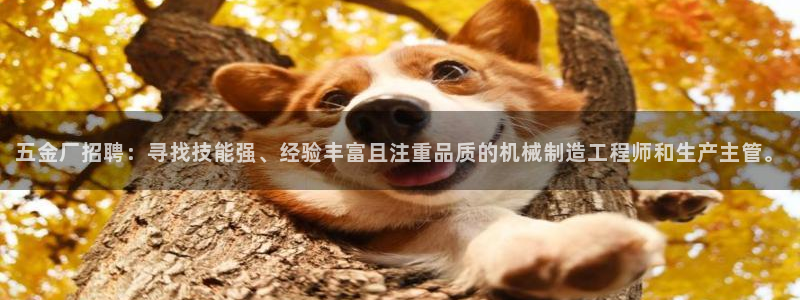 官方云顶国际网站下载