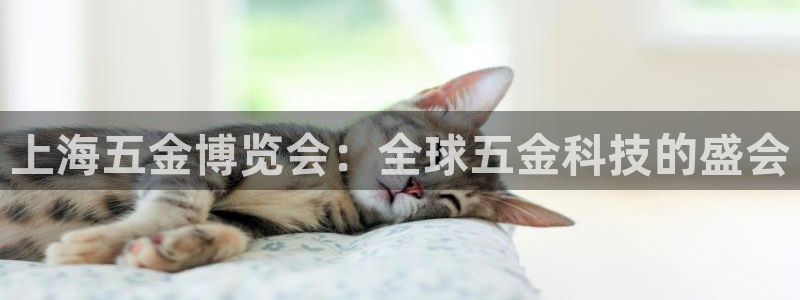 云顶国际服s11
