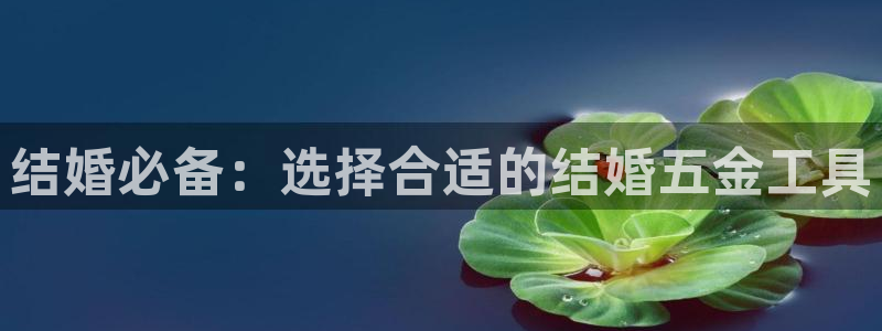 云顶集团专属APP9.0