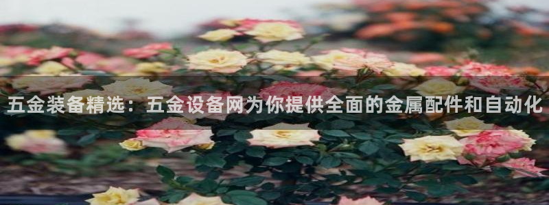 云顶集团网站安全吗知乎