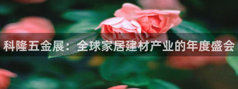 禹州云顶国际二手房