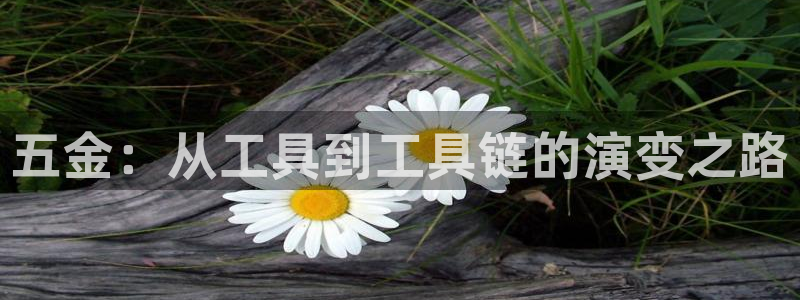 云顶集团官网电话号码