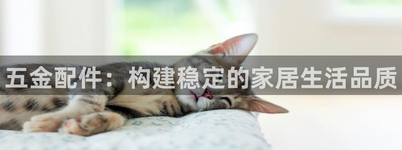 云顶国际取款取不出来