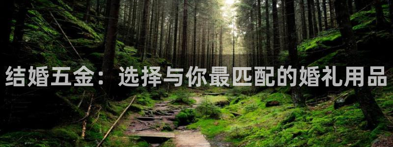 云顶国际77026