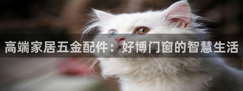 云顶ktv国际会所