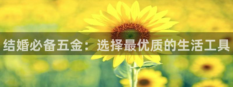 云顶集团 林国泰