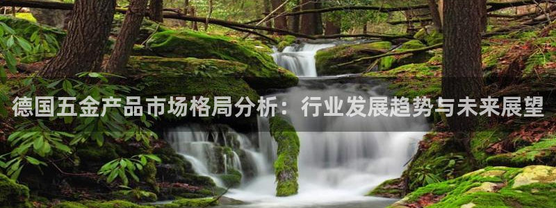 云顶网站是多少