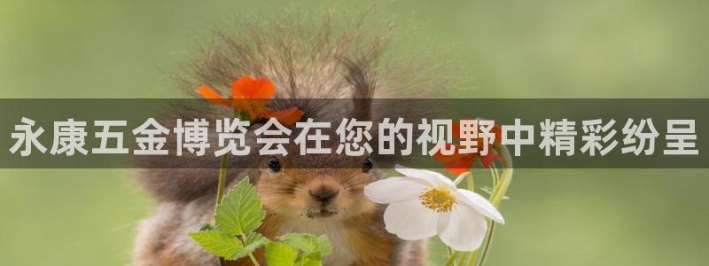 淮北云顶国际俱乐部电话