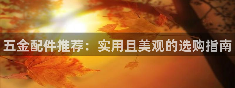 云顶国际官方网