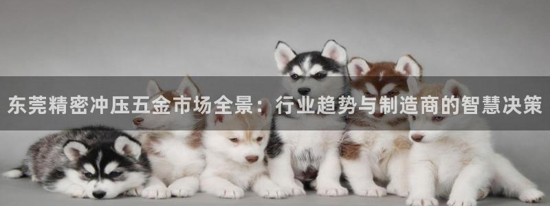 云顶国际下载APP