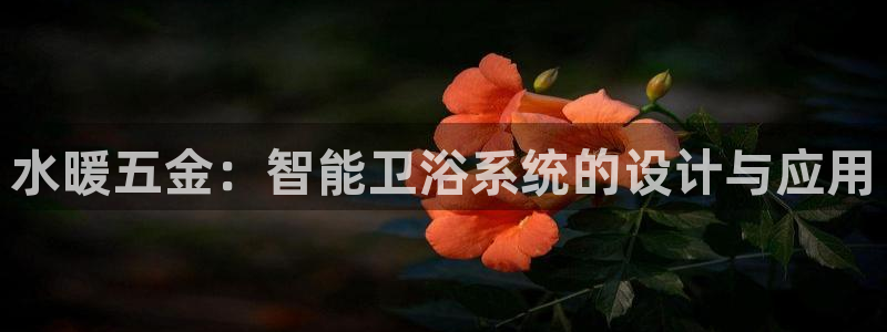 云顶国际网站是多少