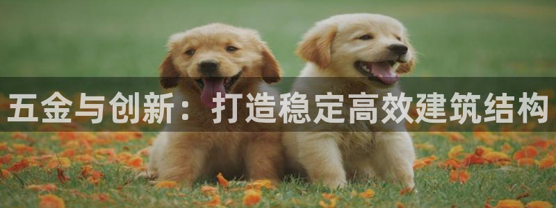 云顶国际酒店老板简介