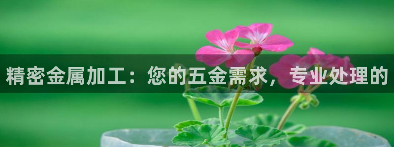 云顶国际滑雪场