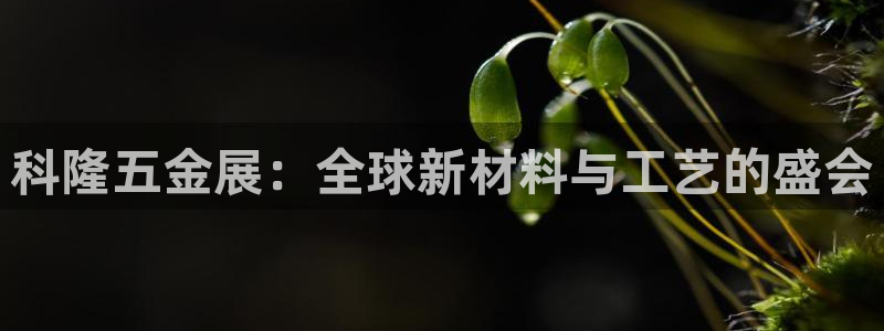 云顶国际app免费下载