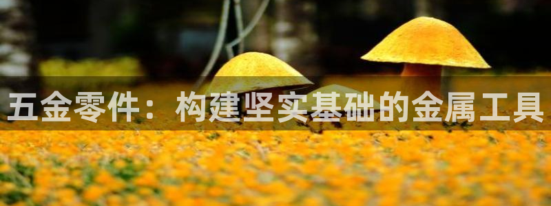 云顶国际游戏平台有哪些