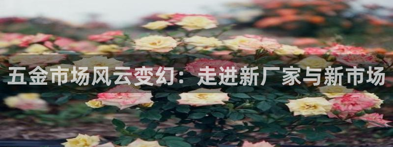 云顶国际大酒店的位置图