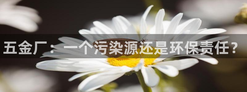 云顶国际调酒培训怎么样