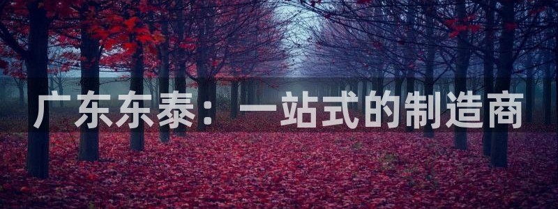 云顶网络游戏平台