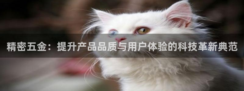 云顶国际app官方网站