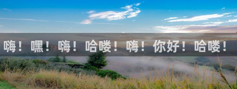 云顶集团有限公司官网