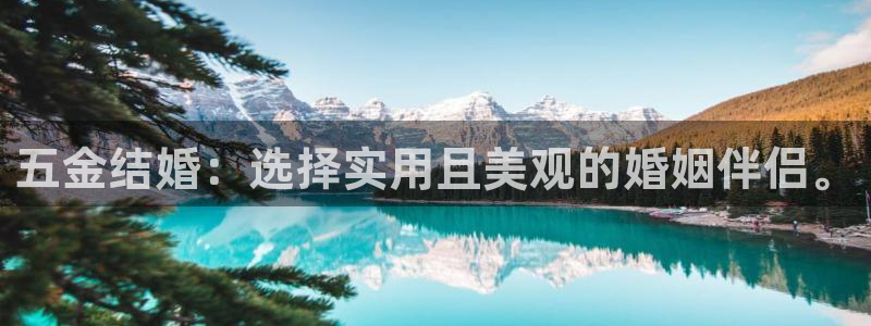 云顶集团网投领