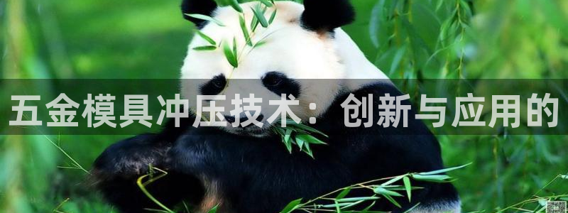 云顶国际平台提款受阻
