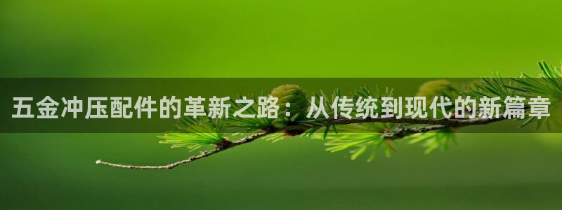 云顶国际会所怎么样