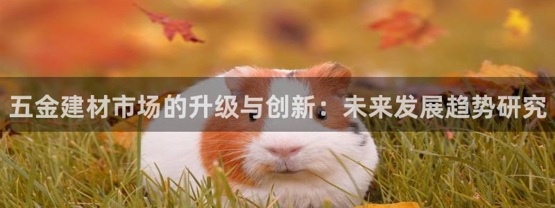 云顶国际老板是谁