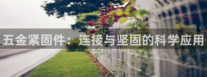 云顶国际线上平台