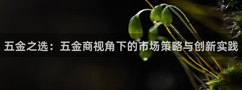 云顶国际是真实网站吗安全吗