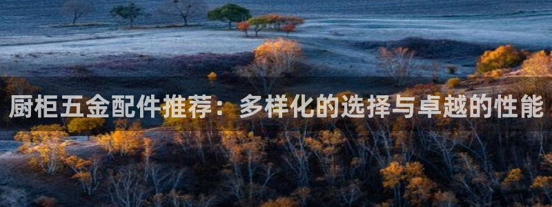 云顶国际服更新公告
